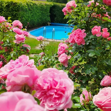 Rena Mit Pool *