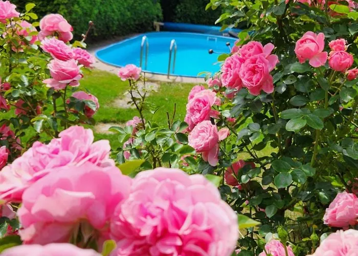 Rena Mit Pool *